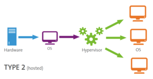 Type 2 (Hosted Hypervisor)